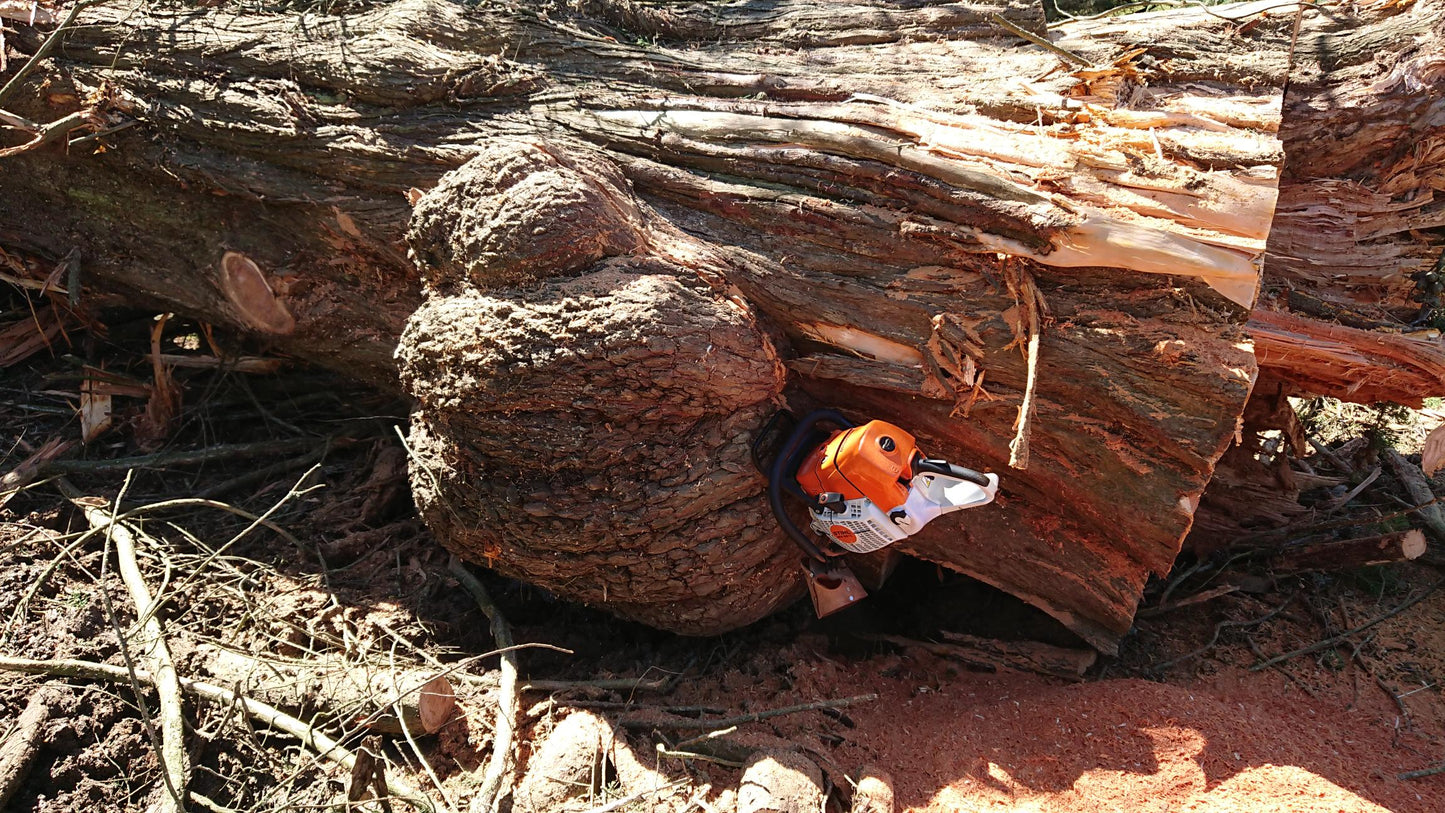 A Big Bowl - Macrocarpa Table